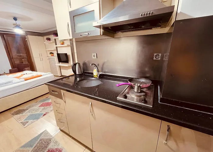 Taksim Gold House Aparthotel Provincia di Istanbul